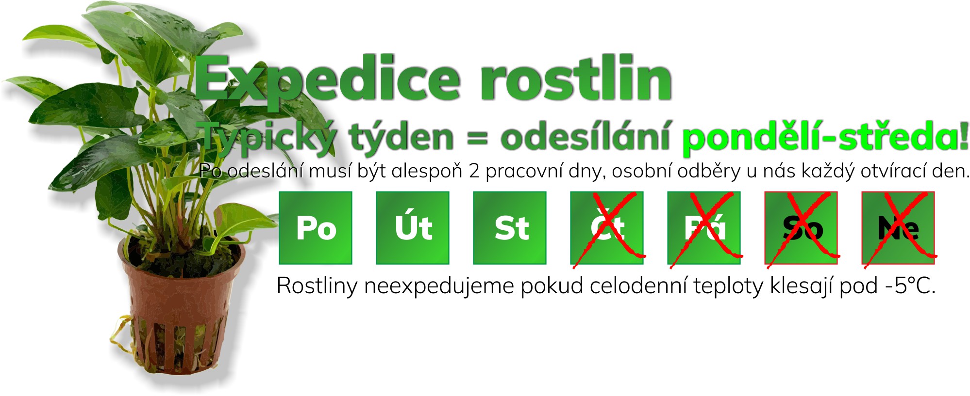 Expedice rostlin pouze podělí-středa