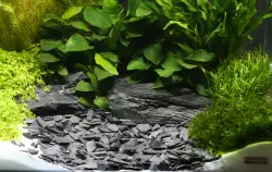 DENNERLE Přírodní kamínky Plantahunter Baikal Large 10-30 mm 5kg<br><em>Ilustrační obrázek - může obsahovat dekorace, další produkty a vybavení, které nejsou součástí a musí se dokoupit samostatně.</em>