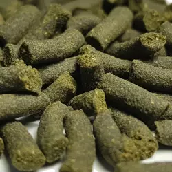 QualDrop Algae - krmivo pro krevety 30g<br><em>Ilustrační obrázek - může obsahovat dekorace, další produkty a vybavení, které nejsou součástí a musí se dokoupit samostatně.</em>