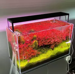 Chihiros LED WRGB II SLIM 120 90W 120-140cm s kontrolérem <br><em>Ilustrační obrázek - může obsahovat dekorace, další produkty a vybavení, které nejsou součástí a musí se dokoupit samostatně.</em>