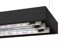 AquaEL akvarijní set Ultrascape 60 FOREST<br><em>Ilustrační obrázek - může obsahovat dekorace, další produkty a vybavení, které nejsou součástí a musí se dokoupit samostatně.</em>