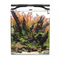 AquaEl Optibent akvarijní set 70 black - příklad zařízení<br><em>Ilustrační obrázek - může obsahovat dekorace, další produkty a vybavení, které nejsou součástí a musí se dokoupit samostatně.</em>