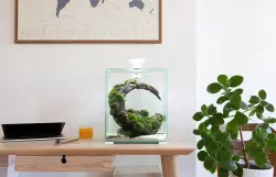 AquaEl Shrimp Day & Night 20, bílé 19 litrů<br><em>Ilustrační obrázek - může obsahovat dekorace, další produkty a vybavení, které nejsou součástí a musí se dokoupit samostatně.</em>