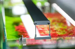 Chihiros LED B30 21W 30-50 cm s kontrolérem<br><em>Ilustrační obrázek - může obsahovat dekorace, další produkty a vybavení, které nejsou součástí a musí se dokoupit samostatně.</em>