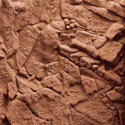 Juwel Stone Clay 3D akvarijní pozadí 60x55 cm<br><em>Ilustrační obrázek - může obsahovat dekorace, další produkty a vybavení, které nejsou součástí a musí se dokoupit samostatně.</em>
