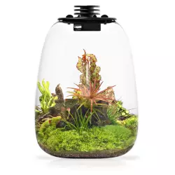 Bioloark BioBottle QD205<br><em>Ilustrační obrázek - může obsahovat dekorace, další produkty a vybavení, které nejsou součástí a musí se dokoupit samostatně.</em>