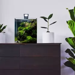 Dennerle akvárium NanoCube 30litrů, 30x30x35cm<br><em>Ilustrační obrázek - může obsahovat dekorace, další produkty a vybavení, které nejsou součástí a musí se dokoupit samostatně.</em>
