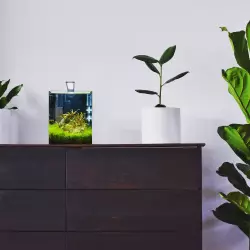 Dennerle akvárium NanoCube 10litrů, 20x20x25cm<br><em>Ilustrační obrázek - může obsahovat dekorace, další produkty a vybavení, které nejsou součástí a musí se dokoupit samostatně.</em>
