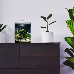 Dennerle akvárium NanoCube 20litrů, 25x25x30cm<br><em>Ilustrační obrázek - může obsahovat dekorace, další produkty a vybavení, které nejsou součástí a musí se dokoupit samostatně.</em>