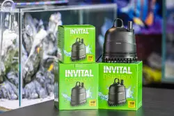 INVITAL DSP-1800 čerpadlo se spodním nasáváním 1800 l/h 2,5m<br><em>Ilustrační obrázek - může obsahovat dekorace, další produkty a vybavení, které nejsou součástí a musí se dokoupit samostatně.</em>