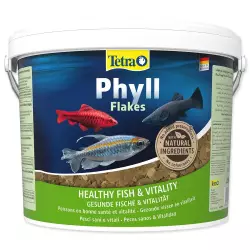 Tetra Phyll 10l
