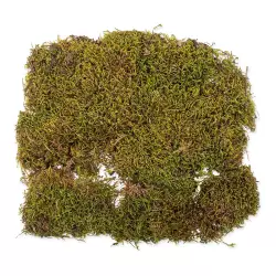 Repti Planet Přírodní sušený terarijní mech 35x30 cm<br><em>Ilustrační obrázek - může obsahovat dekorace, další produkty a vybavení, které nejsou součástí a musí se dokoupit samostatně.</em>