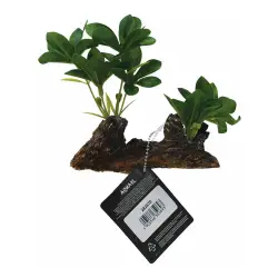 AquaEl Textilní rostlina 8001 (12 cm)<br><em>Ilustrační obrázek - může obsahovat dekorace, další produkty a vybavení, které nejsou součástí a musí se dokoupit samostatně.</em>