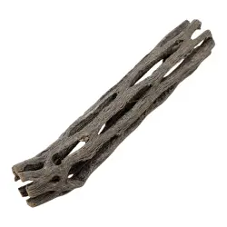 Cholla Wood - cholla kaktus 10 cm