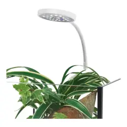 INVITAL AquaSpectrum LED Mini 5W<br><em>Ilustrační obrázek - může obsahovat dekorace, další produkty a vybavení, které nejsou součástí a musí se dokoupit samostatně.</em>