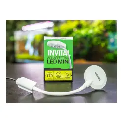 INVITAL AquaSpectrum LED Mini 5W<br><em>Ilustrační obrázek - může obsahovat dekorace, další produkty a vybavení, které nejsou součástí a musí se dokoupit samostatně.</em>
