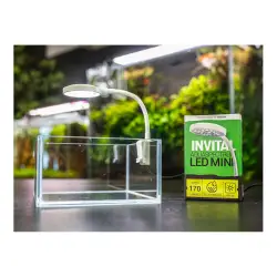 INVITAL AquaSpectrum LED Mini 5W<br><em>Ilustrační obrázek - může obsahovat dekorace, další produkty a vybavení, které nejsou součástí a musí se dokoupit samostatně.</em>