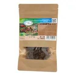 EasyFish Šištičky Casuarina 20g<br><em>Ilustrační obrázek - může obsahovat dekorace, další produkty a vybavení, které nejsou součástí a musí se dokoupit samostatně.</em>