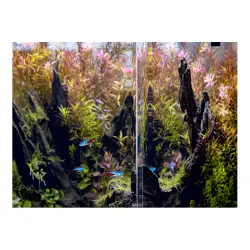AquaEl akvárium 25x25x30 cm OPTI TANK ROUNDED 20 bílé<br><em>Ilustrační obrázek - může obsahovat dekorace, další produkty a vybavení, které nejsou součástí a musí se dokoupit samostatně.</em>