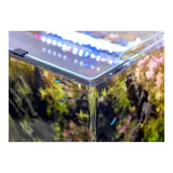AquaEl akvárium 29x29x35 cm OPTI TANK ROUNDED 30 bílé<br><em>Ilustrační obrázek - může obsahovat dekorace, další produkty a vybavení, které nejsou součástí a musí se dokoupit samostatně.</em>