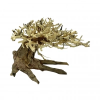 Bonsai Driftwood 20x15 cm (no. 10)