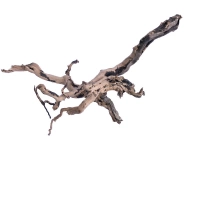 Red moor (Amano finger wood) akvarijní kořeny - MINI kořen (1ks)