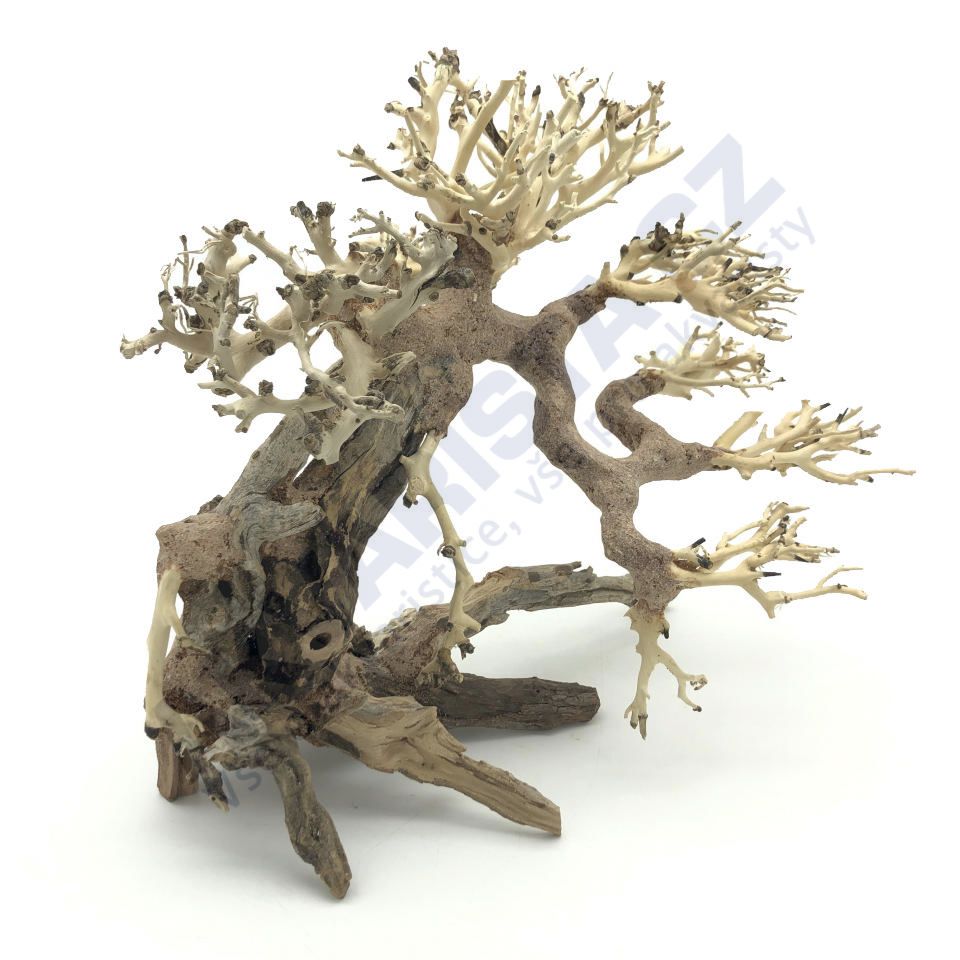 Bonsai Driftwood 25x20 cm (no. 82)