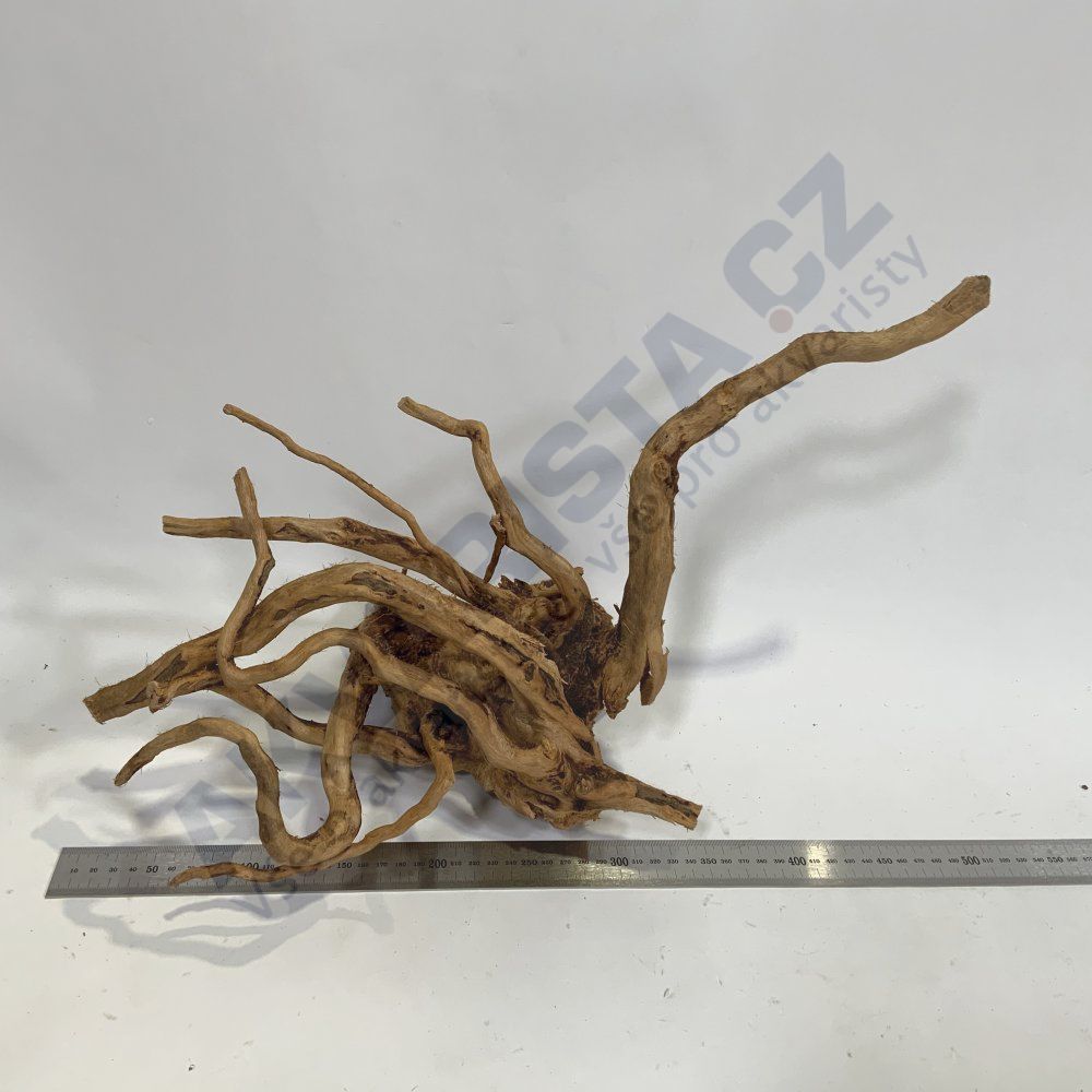Red moor (Amano) wood 45x30x25 cm [REM00073]